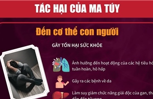 Tác hại của ma túy