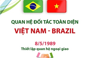 Quan hệ Đối tác toàn diện Việt Nam - Brazil