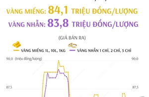 Giá vàng SJC sáng 19/12/2024