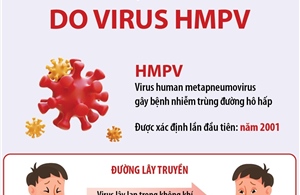 Thông tin về bệnh đường hô hấp do virus HMPV