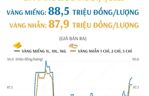 Giá vàng SJC sáng 24/1/2025: Vàng miếng 88,5 triệu đồng/lượng, vàng nhẫn 78,9 triệu đồng/lượng