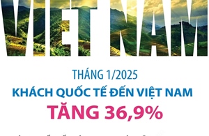 Tháng 1/2025: Khách quốc tế đến Việt Nam tăng 36,9%