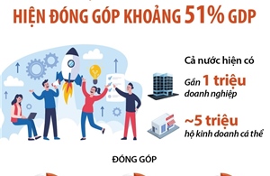 Khu vực kinh tế tư nhân hiện đóng góp khoảng 51% GDP