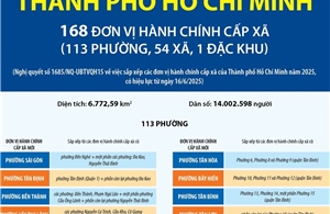 Thông tin chi tiết về 113 phường của thành phố Hồ Chí Minh