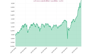 Phiên 11/8/2025: VN-Index tăng lên sát mốc 1.600 điểm