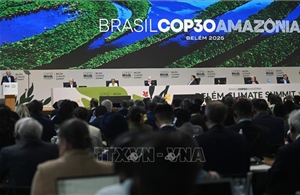 COP30: Hơn 80 quốc gia ủng hộ xây dựng lộ trình ngừng sử dụng nhiên liệu hóa thạch