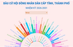 Đơn vị bầu cử và đại biểu HĐND cấp tỉnh, TP nhiệm kỳ 2026-2031