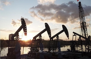 Giá dầu Brent giảm nhẹ khi thị trường dồn sự chú ý vào đàm phán Mỹ - Iran