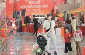 Cơ hội hợp tác, trao đổi kinh nghiệm phong phú giữa UAE và Việt Nam