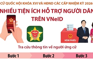 Nhiều tiện ích trên VNeID hỗ trợ người dân bầu cử