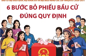 Bầu cử Quốc hội và HĐND: 6 bước bỏ phiếu bầu cử đúng quy định