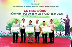 Phát triển mảng xanh vì cộng đồng bền vững