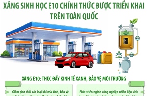 Từ 1/6/2026, xăng sinh học E10 chính thức được triển khai trên toàn quốc