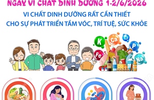 Vi chất dinh dưỡng rất cần thiết cho sự phát triển tầm vóc, trí tuệ, sức khỏe