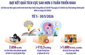 Đấu tranh chống xâm phạm quyền sở hữu trí tuệ đạt kết quả tích cực 