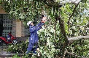 Quảng Ninh khắc phục hậu quả bão số 1, thiệt hại ước khoảng 20 tỷ đồng 