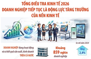 Tổng điều tra kinh tế 2026: Doanh nghiệp tiếp tục là động lực tăng trưởng của nền kinh tế