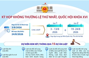 Kỳ họp không thường lệ thứ Nhất, Quốc hội khóa XVI