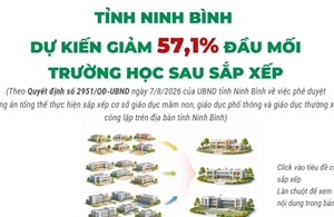 Tỉnh Ninh Bình dự kiến giảm 57,1% đầu mối trường học sau sắp xếp