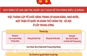 Quy định số 208-QĐ/TW: Việc thành lập tổ chức đảng trong cơ quan Đảng, Nhà nước, Mặt trận Tổ quốc và đoàn thể chính trị - xã hội ở cấp trung ương
