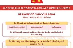 Quy định số 208-QĐ/TW: Hệ thống tổ chức của Đảng