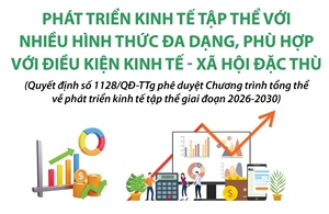 Phát triển kinh tế tập thể với nhiều hình thức đa dạng, phù hợp với điều kiện đặc thù