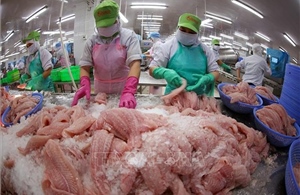 Xuất khẩu nông, lâm, thủy sản tăng 7%
