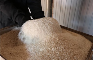 Xuất cấp hơn 1.029 tấn gạo hỗ trợ cho 5 tỉnh