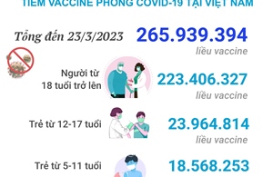 Tình hình tiêm vaccine phòng COVID-19 tại Việt Nam tính đến hết ngày 23/3/2023