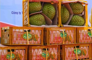 Nông sản Việt đón thêm cơ hội xuất khẩu  