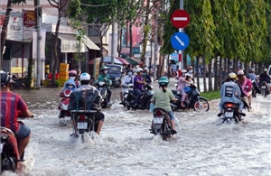 Nước sông Hậu lên báo động 3, Cần Thơ bắt đầu vào mùa triều cường
