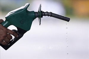 Bộ Công Thương nêu lý do thương nhân phân phối xăng dầu bị thu hồi giấy phép