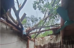 Tuyên Quang: Hơn 110 ngôi nhà bị tốc mái, hư hỏng do giông lốc