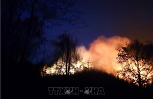 Ghi nhận vụ cháy 4,5 ha rừng ở núi Cậu - Dầu Tiếng
