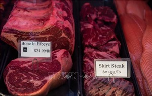 Colombia hạn chế nhập khẩu thịt bò từ Mỹ do dịch cúm gia cầm