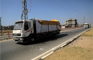 Ai Cập, Mỹ tạm thời đưa hàng viện trợ vào Gaza qua cửa khẩu Kerem Shalom