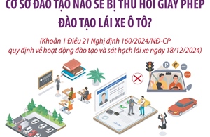 Từ 1/1/2025: Cơ sở đào tạo nào sẽ bị thu hồi giấy phép đào tạo lái xe ô tô?