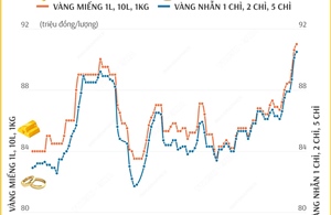 Giá vàng SJC sáng 5/2/2025: Vàng miếng tăng lên 91 triệu đồng/lượng