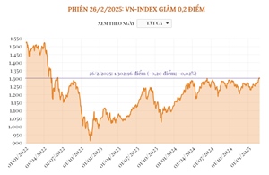 Phiên 26/2/2025: VN-Index giảm 0,2 điểm