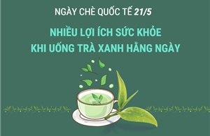 Ngày Chè quốc tế 21/5: Nhiều lợi ích sức khỏe khi uống trà xanh hằng ngày