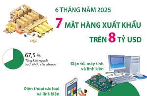 6 tháng năm 2025: 7 mặt hàng xuất khẩu trên 8 tỷ USD