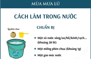 Xử lý nước ăn uống trong mùa mưa lũ: Cách làm trong nước