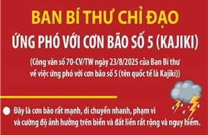 Ban Bí thư chỉ đạo ứng phó với cơn bão số 5 (Kajiki)