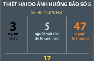 Thiệt hại do ảnh hưởng bão số 5