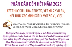 Kết thúc điều tra, truy tố, xét xử 22 vụ án, kết thúc xác minh xử lý một số vụ việc