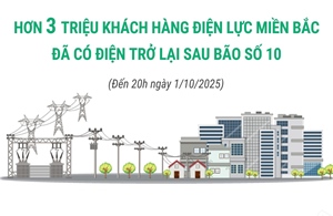 Hơn 3 triệu khách hàng Điện lực miền Bắc đã có điện trở lại sau bão số 10