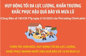 Huy động tối đa lực lượng, khẩn trương khắc phục hậu quả bão và mưa lũ
