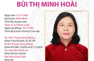 Ủy viên Bộ Chính trị, Bí thư Trung ương Đảng, Bí thư Đảng ủy Mặt trận Tổ quốc, các đoàn thể Trung ương Bùi Thị Minh Hoài