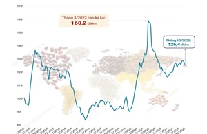 Chỉ số giá lương thực thế giới tiếp tục giảm trong tháng 10/2025