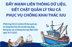 Đẩy mạnh liên thông dữ liệu, siết chặt quản lý tàu cá phục vụ chống khai thác IUU